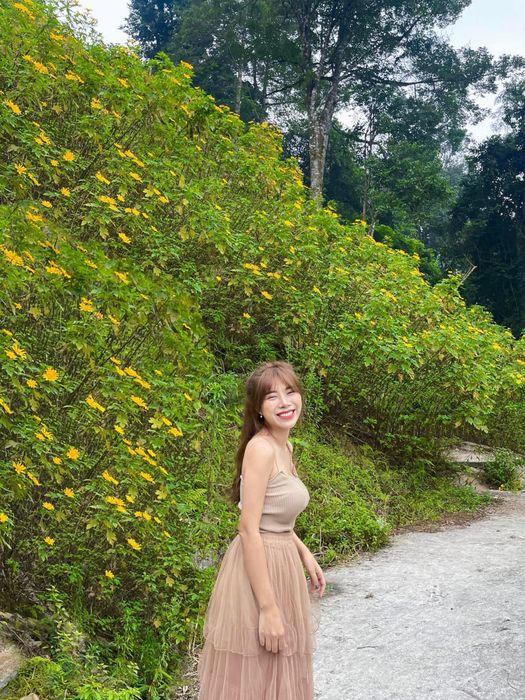 Săn Mùa hoa dã quỳ Hà Nội và lưu giữ khoảnh khắc tuyệt vời qua từng bức ảnh đẹp