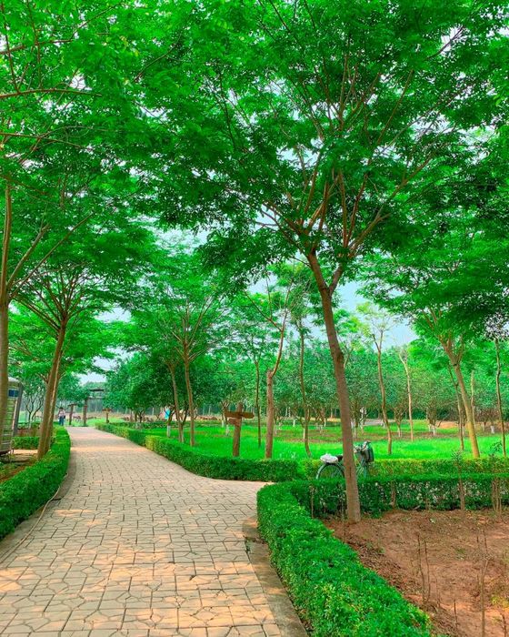 Khám phá điều gì tại Phù Đổng Green Park, điểm du lịch nổi tiếng 3