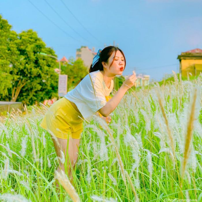 Hà Nội mùa cỏ lau mang lại một cảm giác dịu dàng và thơ mộng đến tận cùng 2