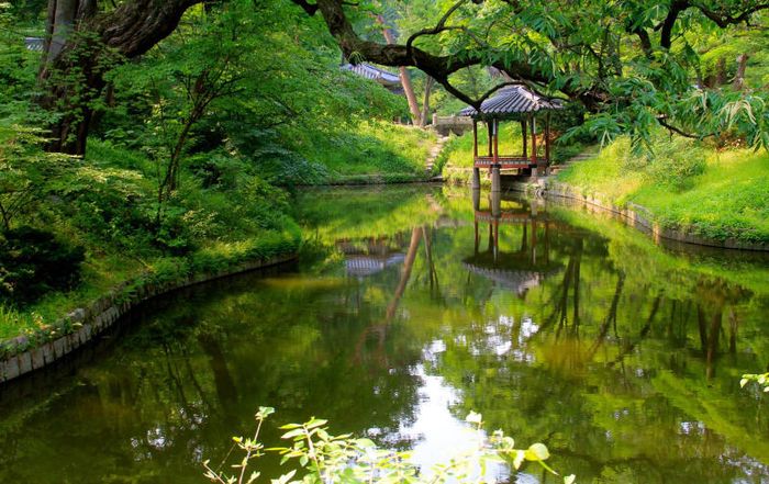 Trải nghiệm vẻ uy nghi và tráng lệ của cung điện Changdeokgung 8