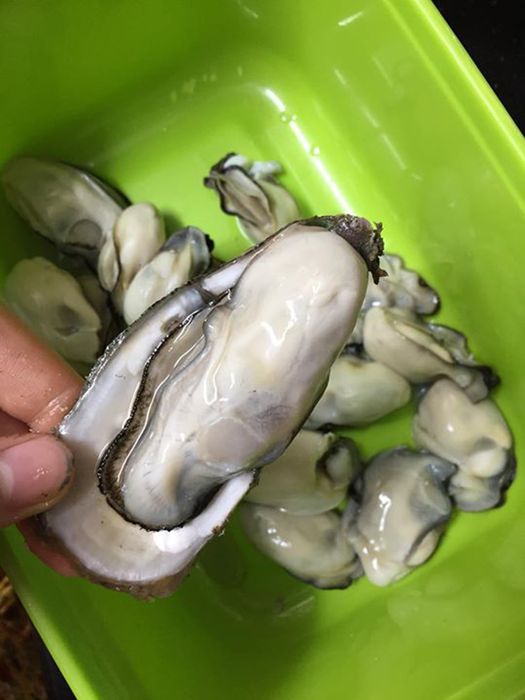 Hãy ngồi lại và lắng nghe đánh giá về chuyến du lịch foodtour Hải Phòng từ Mytour.vn bạn nhé!