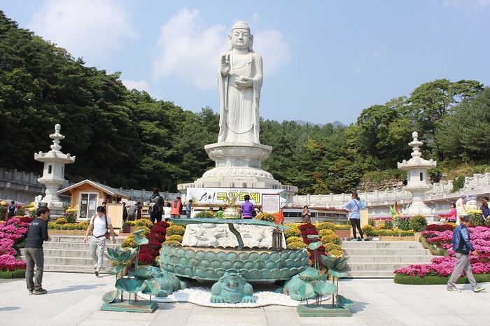 Daegu hiện đại với vẻ đẹp lịch sử và văn hóa Hàn Quốc