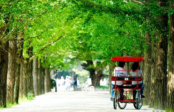 Khám phá lịch trình tour du lịch Hàn Quốc 4 ngày 3 đêm vòng quanh Seoul 3