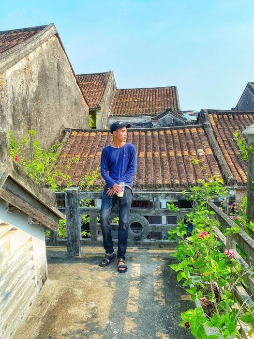 Những giàn hoa sử quân tử ở Hội An, đẹp rực rỡ và lãng mạn