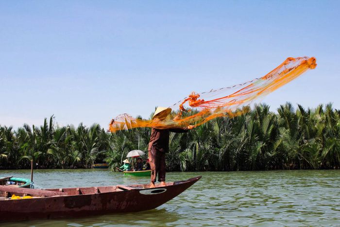 Khám phá Rừng dừa Bảy Mẫu, nét đẹp giản dị giữa trung tâm Hội An 3