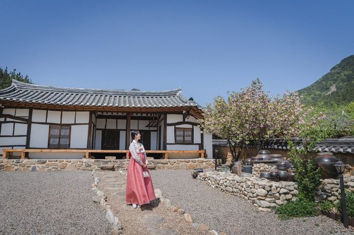 Daegu hiện đại với hơi thở lịch sử và văn hóa Hàn Quốc