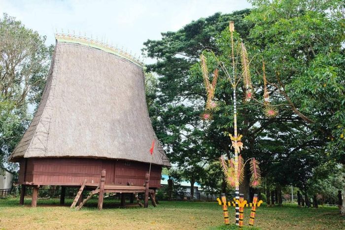 Gà xông khói Jơ Rai, món đặc sản không thể bỏ qua khi đến Gia Lai