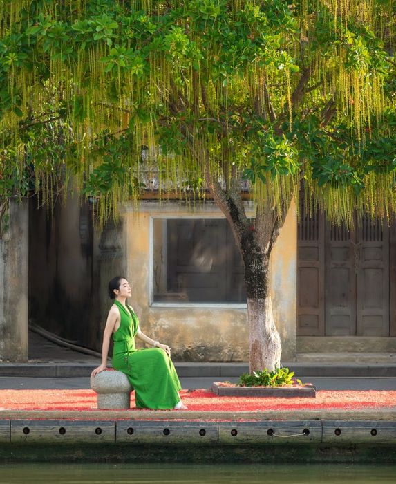 Phố cổ Hội An qua ống kính tài năng của Nguyên Phan 7