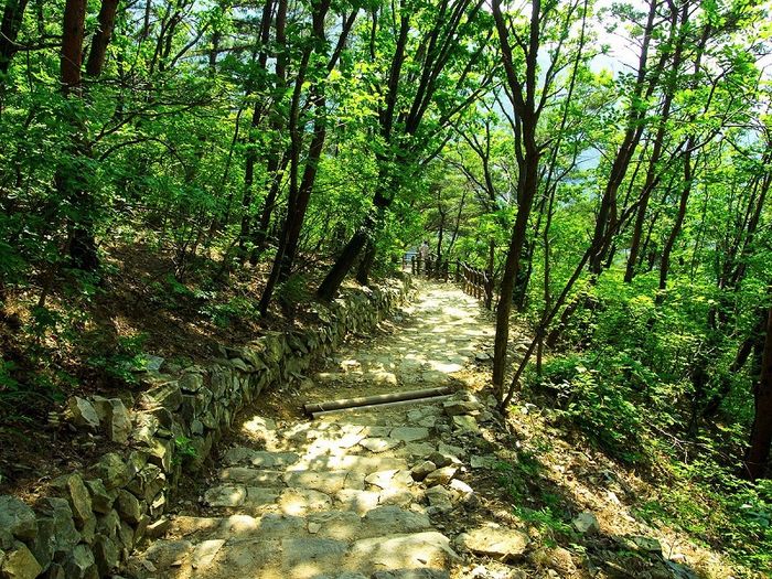Daegu hiện đại với hơi thở lịch sử và văn hóa Hàn Quốc