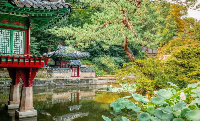 Trải nghiệm vẻ uy nghi và tráng lệ của cung điện Changdeokgung 5