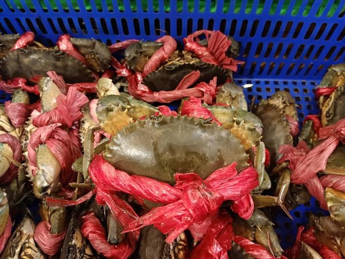 Nhà hàng Phố Biển Gia Lai - nơi dành cho những người đam mê hải sản (Phần 7)