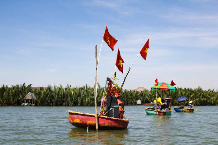 Khám phá Rừng dừa Bảy Mẫu, nét đẹp giản dị giữa trung tâm Hội An