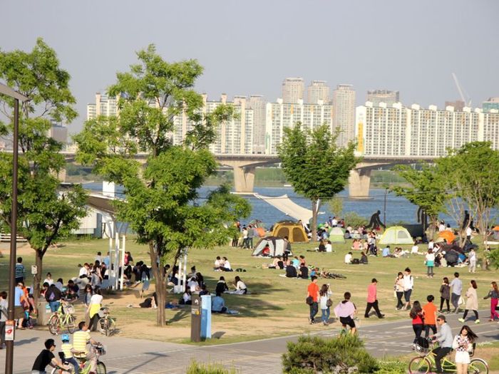 Vi vu sông Hàn Hàn Quốc với hàng loạt hoạt động thú vị 15