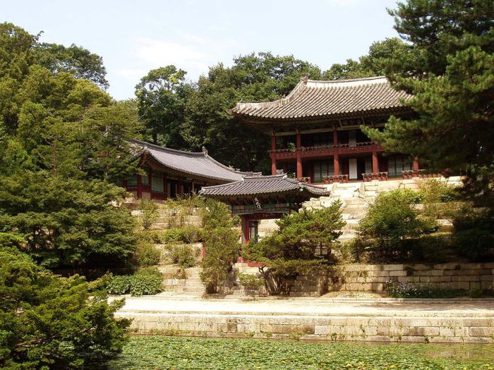Trải nghiệm vẻ uy nghi và tráng lệ của cung điện Changdeokgung 6