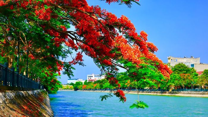 Ghi lại những Bí quyết khám phá Hải Phòng tự do tiết kiệm 2
