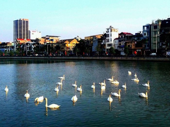 Trải nghiệm vui chơi tại Phố đi bộ Hải Phòng trong chuyến du lịch khám phá đất cảng.