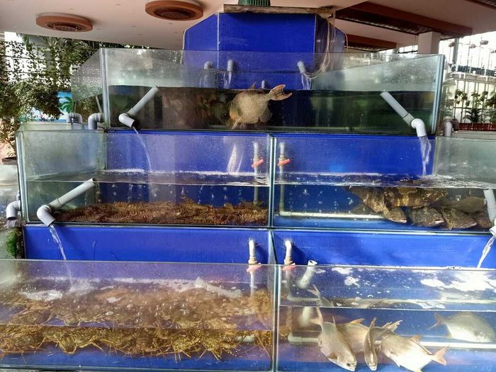 Điểm đến lý tưởng cho người yêu hải sản - Nhà hàng Phố Biển Gia Lai (Phần 6)