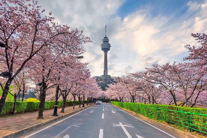 Daegu hiện đại với hơi thở lịch sử và văn hóa Hàn Quốc vẫn giữ nguyên vẻ đẹp của mình