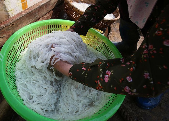Cá quắm sông Đà không phải lúc nào cũng xuất hiện ở Hòa Bình 3
