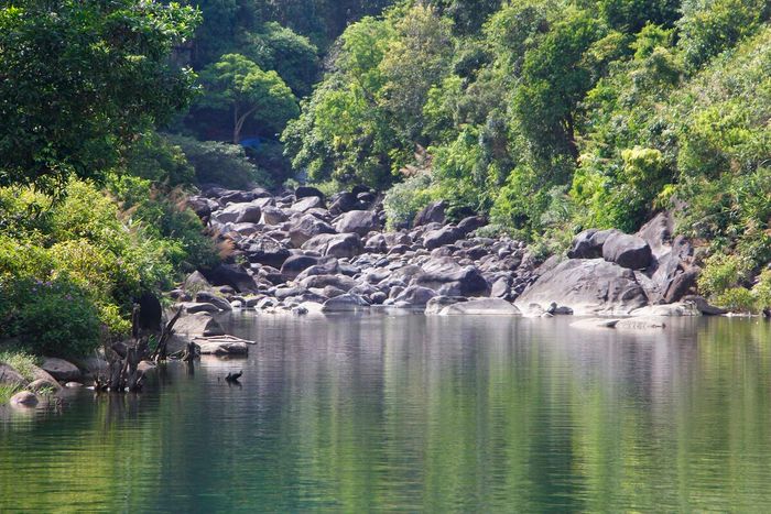 Suối Tiên - Nét đẹp hoang sơ giữa rừng thiên nhiên