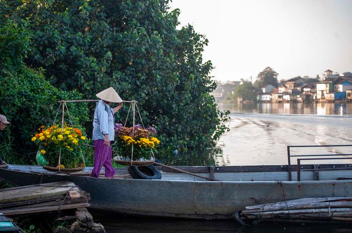 Làng hoa Phú Mậu – Vẻ đẹp rực rỡ và lãng mạn tại xứ Huế 8