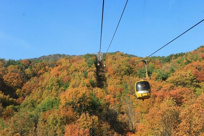Daegu hiện đại với hơi thở lịch sử và văn hóa Hàn Quốc