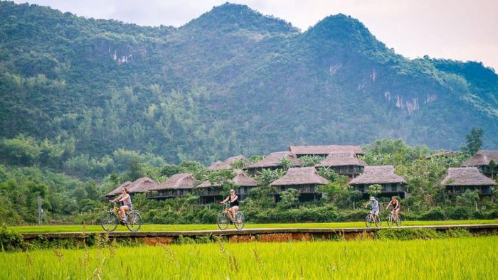 Gợi ý kế hoạch du lịch Mộc Châu 2 ngày 1 đêm khởi hành từ Hà Nội chi tiết nhất dành cho những người yêu thích phượt