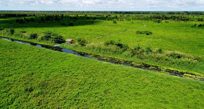 Tổng hợp Kinh nghiệm khám phá rừng quốc gia U Minh Thượng 2