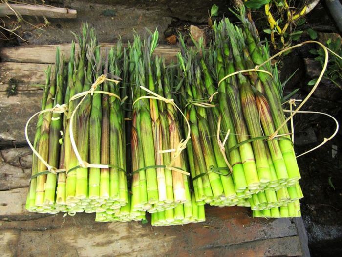 Quán xôi măng cá Lê Lợi, nơi lý tưởng để thưởng thức xôi măng cá ở Kon Tum