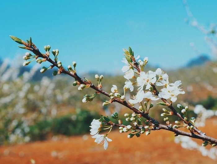 Thanh xuân không thể thiếu việc chinh phục 2 con đường Trekking ở Mộc Châu 5