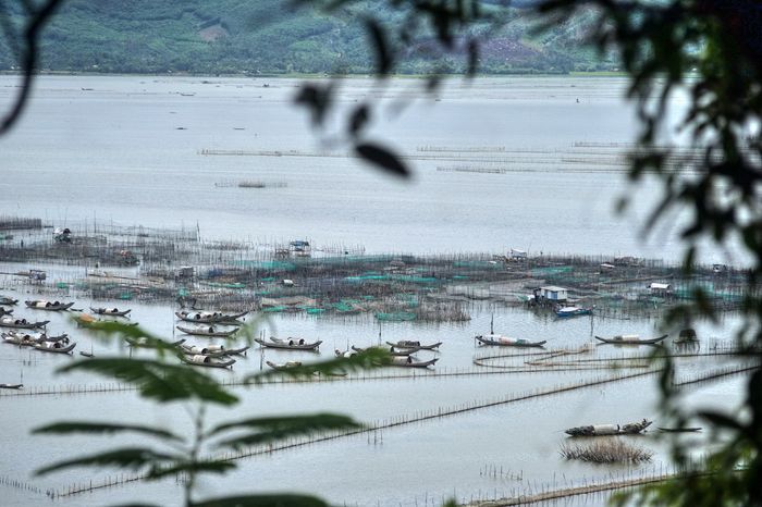 Thưởng thức vẻ đẹp của chùa Thánh Duyên Huế 10