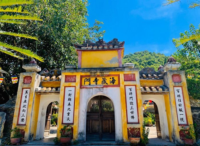 Khám phá Cù lao Chàm Hội An - Khu dự trữ sinh quyển trong xanh của thế giới 12