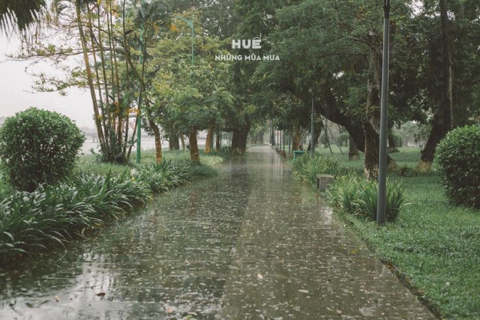 Thưởng Lập: Ngắm Nhìn Huế Trong Những Mùa Mưa Buồn Man Mác 4