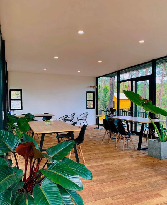 Tại Mountain Lodge Restaurant, bạn có thể thưởng thức đặc sản Kon Tum thoải mái như ở nhà.