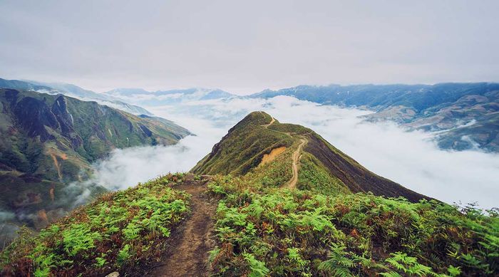 Thanh xuân không thể thiếu việc chinh phục 2 con đường Trekking ở Mộc Châu 11