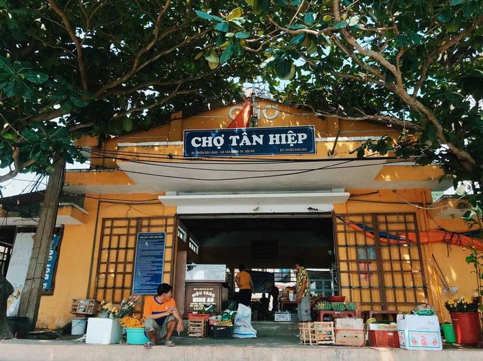 Khám phá Cù lao Chàm Hội An - Khu dự trữ sinh quyển trong xanh của thế giới 13