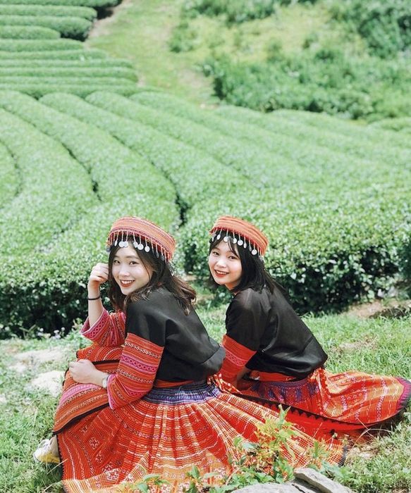 Gợi ý kế hoạch du lịch Mộc Châu 2 ngày 1 đêm khởi hành từ Hà Nội chi tiết nhất dành cho những người yêu thích phượt