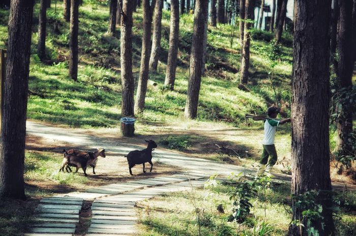 Đánh giá vẻ đẹp du lịch Huế giống như một phiên bản thu nhỏ của Đà Lạt