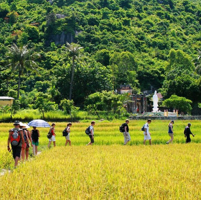 Khám phá Cù lao Chàm Hội An - Khu dự trữ sinh quyển trong xanh của thế giới 11