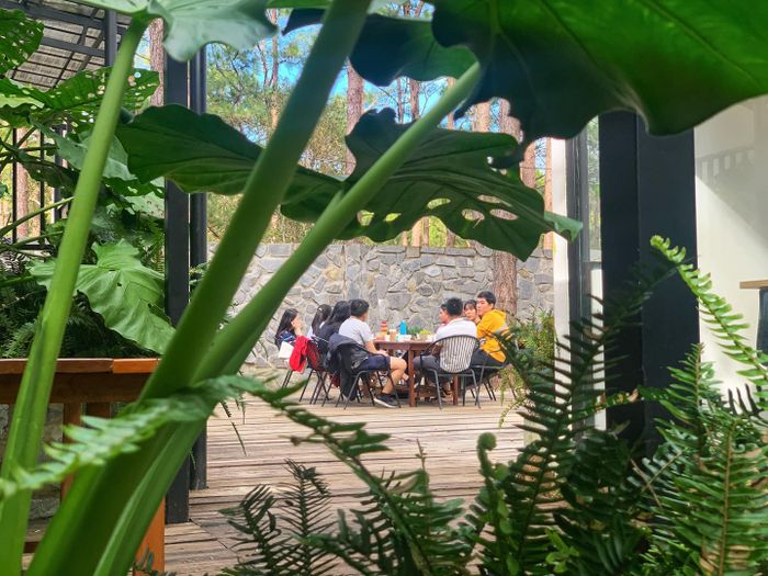 Hãy đến Mountain Lodge Restaurant để thưởng thức đặc sản Kon Tum một cách thoải mái như ở nhà.