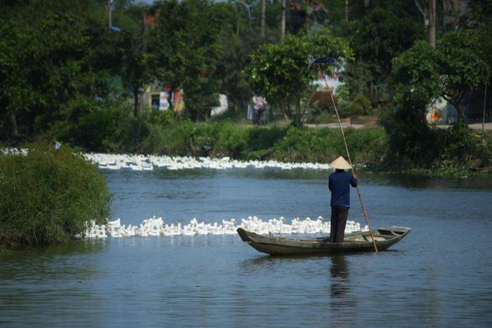 Khám phá vẻ đẹp giản dị của Phá Tam Giang trong một ngày lang thang ở Huế 8
