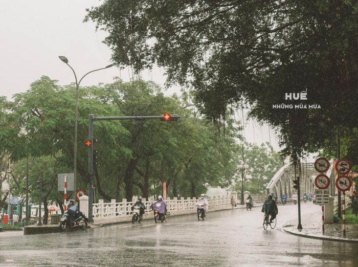 Thưởng Lập: Ngắm Nhìn Huế Trong Những Mùa Mưa Buồn Man Mác 6