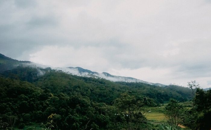 Cuộc hành trình đánh giá Măng Đen thú vị của cô bạn Liêm Tố Tố 5