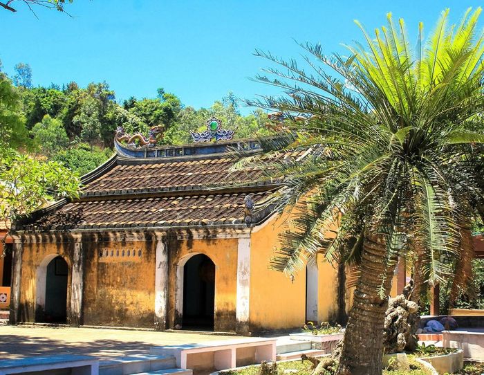 Khám phá Cù lao Chàm Hội An - Khu dự trữ sinh quyển trong xanh của thế giới 16