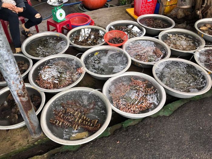 Khám phá Cù lao Chàm Hội An - Khu dự trữ sinh quyển trong xanh của thế giới 14
