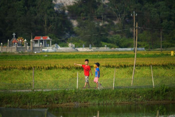 Khám phá vẻ đẹp giản dị của Phá Tam Giang trong một ngày lang thang ở Huế 7