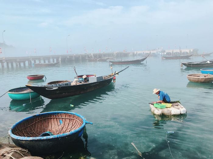 Khám phá Cù lao Chàm Hội An - Thiên đường dự trữ sinh quyển trong xanh của thế giới 3