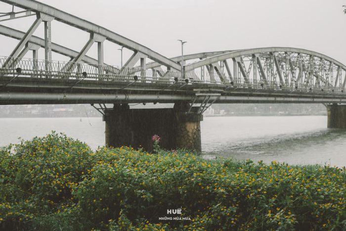 Chiêm Ngưỡng Huế Trong Những Mùa Mưa Buồn Man Mác 3