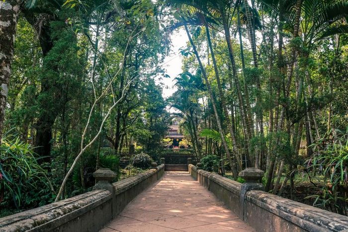 Khám phá Chùa Từ Hiếu và không gian tâm linh nhẹ nhàng