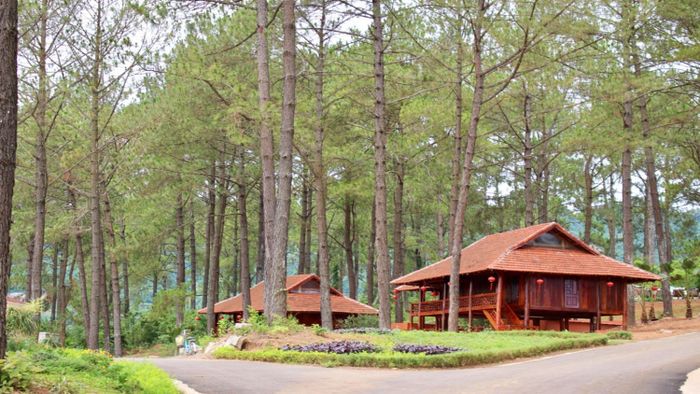 Gợi ý kế hoạch du lịch Mộc Châu 2 ngày 1 đêm khởi hành từ Hà Nội chi tiết nhất dành cho những người yêu thích phượt
